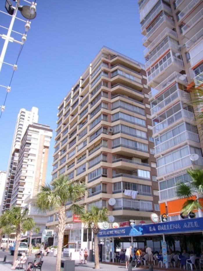 Carolina - Fincas Arena Benidorm Exteriér fotografie